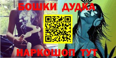 спиды Новодвинск