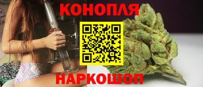 спиды Новодвинск