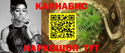 спиды Новодвинск