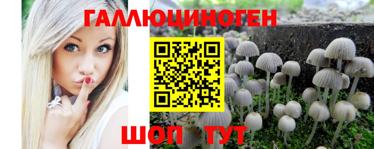 Галлюциногенные грибы Psilocybine cubensis Топки