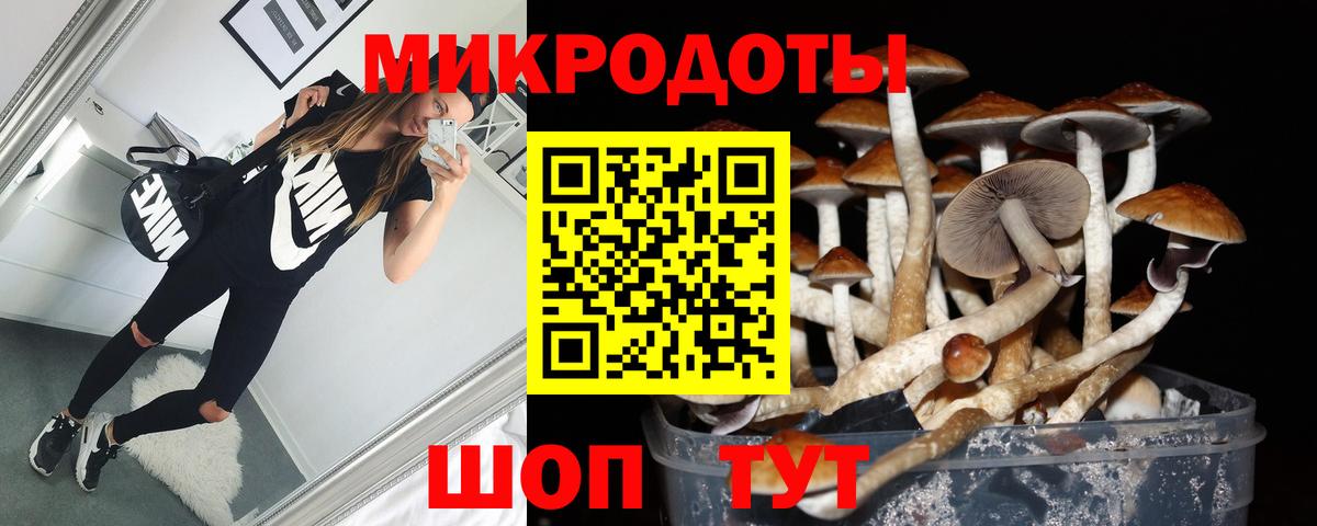 Топки  Псилоцибиновые грибы прущие грибы  Вход с VPN 